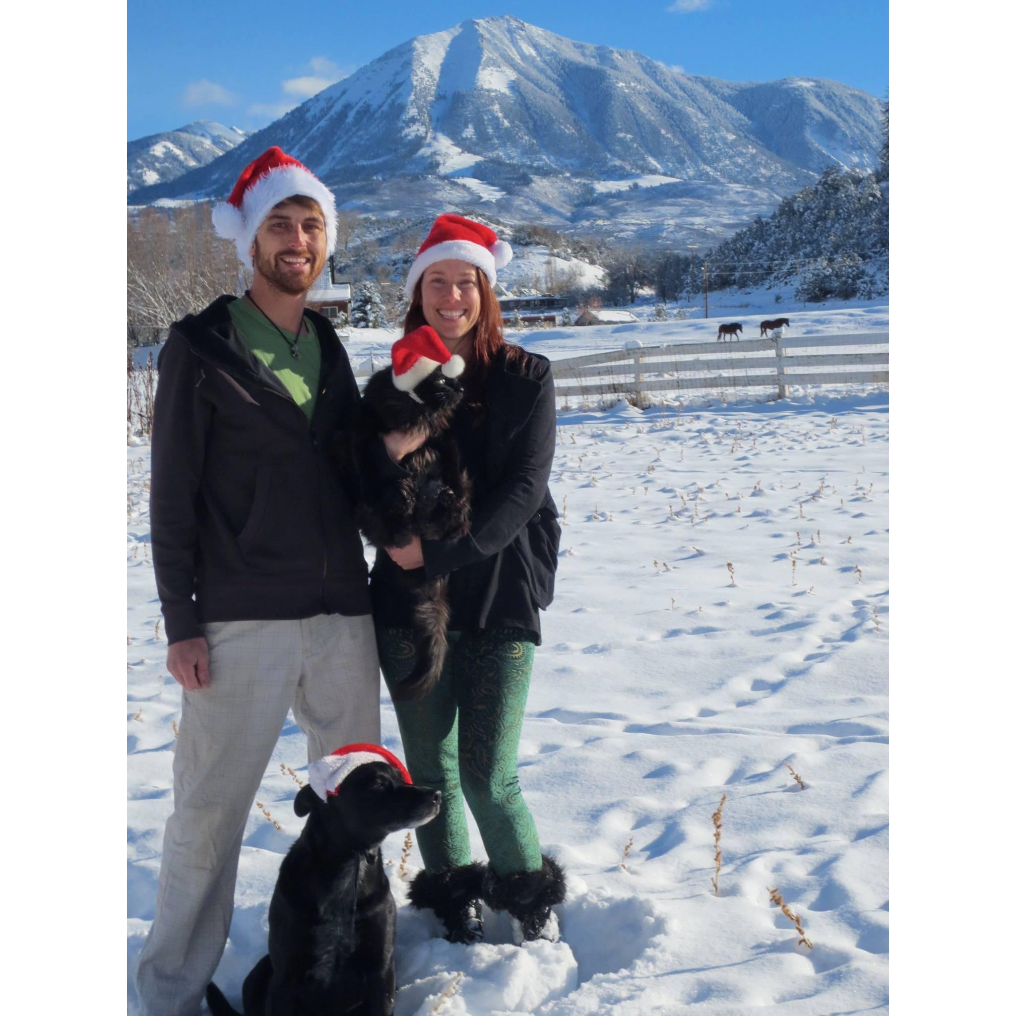 Christmas in Paonia 2015-
This was our backyard!