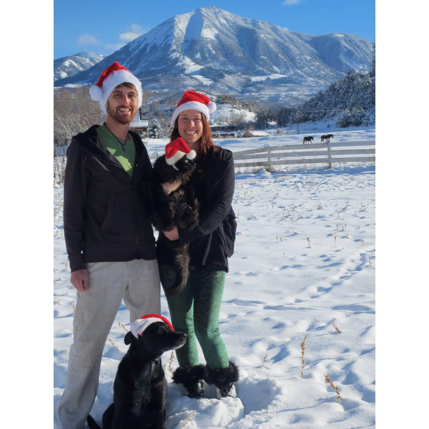 Christmas in Paonia 2015-
This was our backyard!