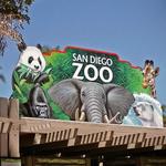 San Diego Zoo