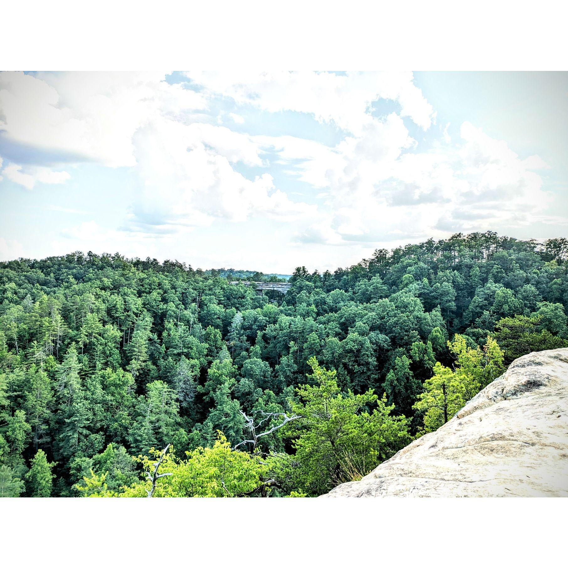 You can see natural bridge from the ceremony site!