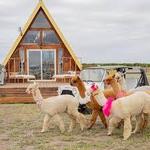 Alpaquita Ranch