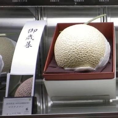 Buy Reid the $100 Japanese Melon