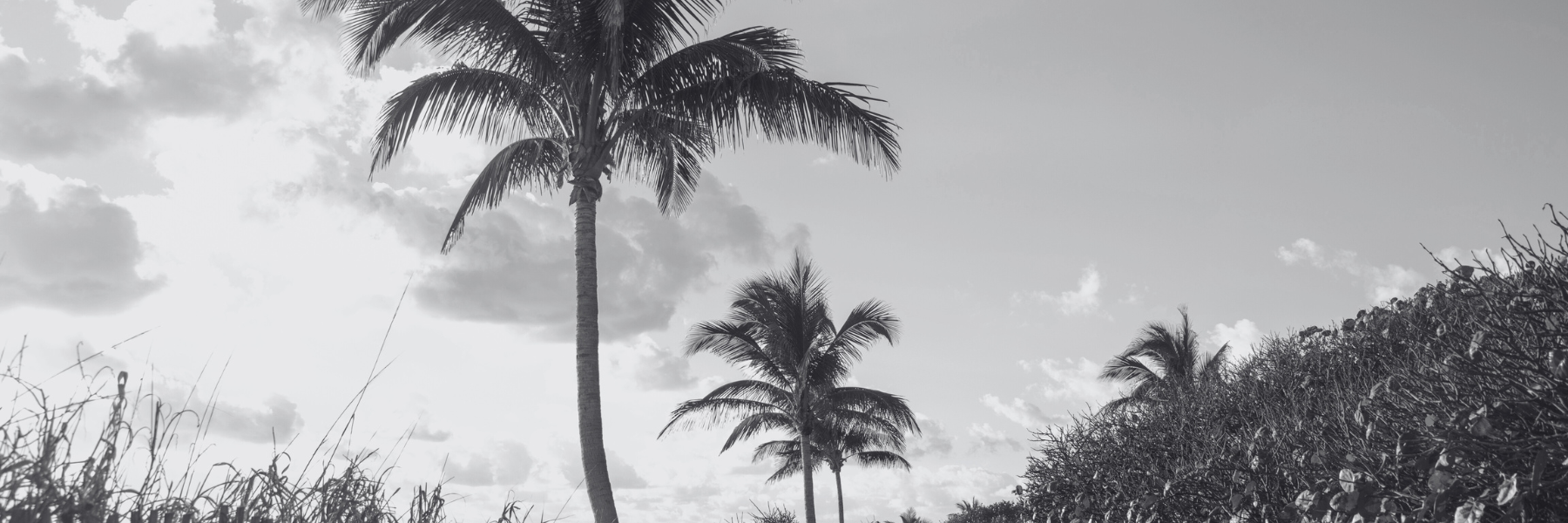 The Wedding Website of Collin Tacy and Katharine Clayton