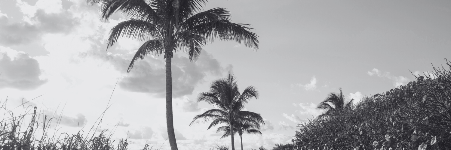 The Wedding Website of Collin Tacy and Katharine Clayton
