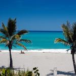 The Beach (Duh!)