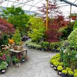 High-Hand Nursery