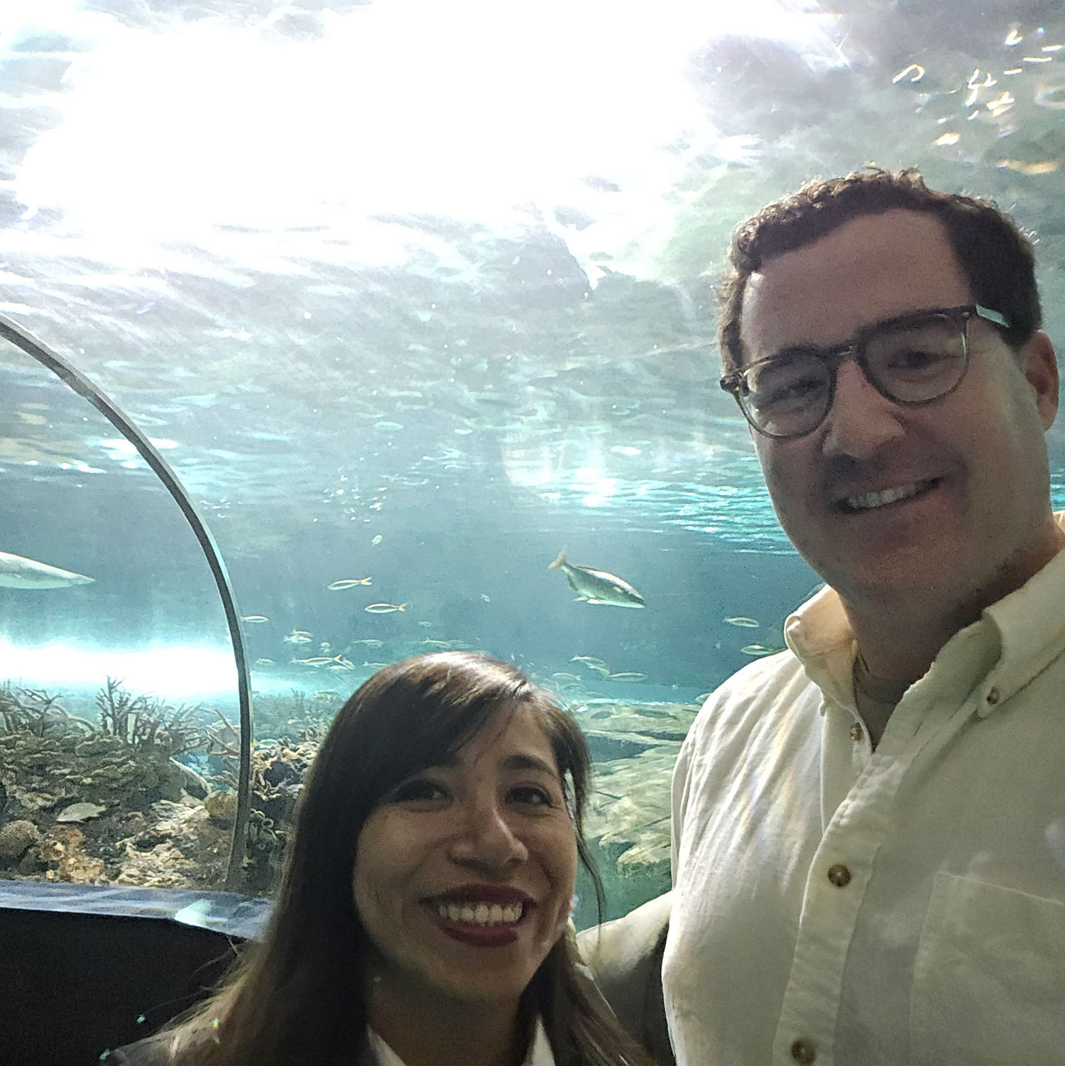 Those sharks can't get through the glass, can they?