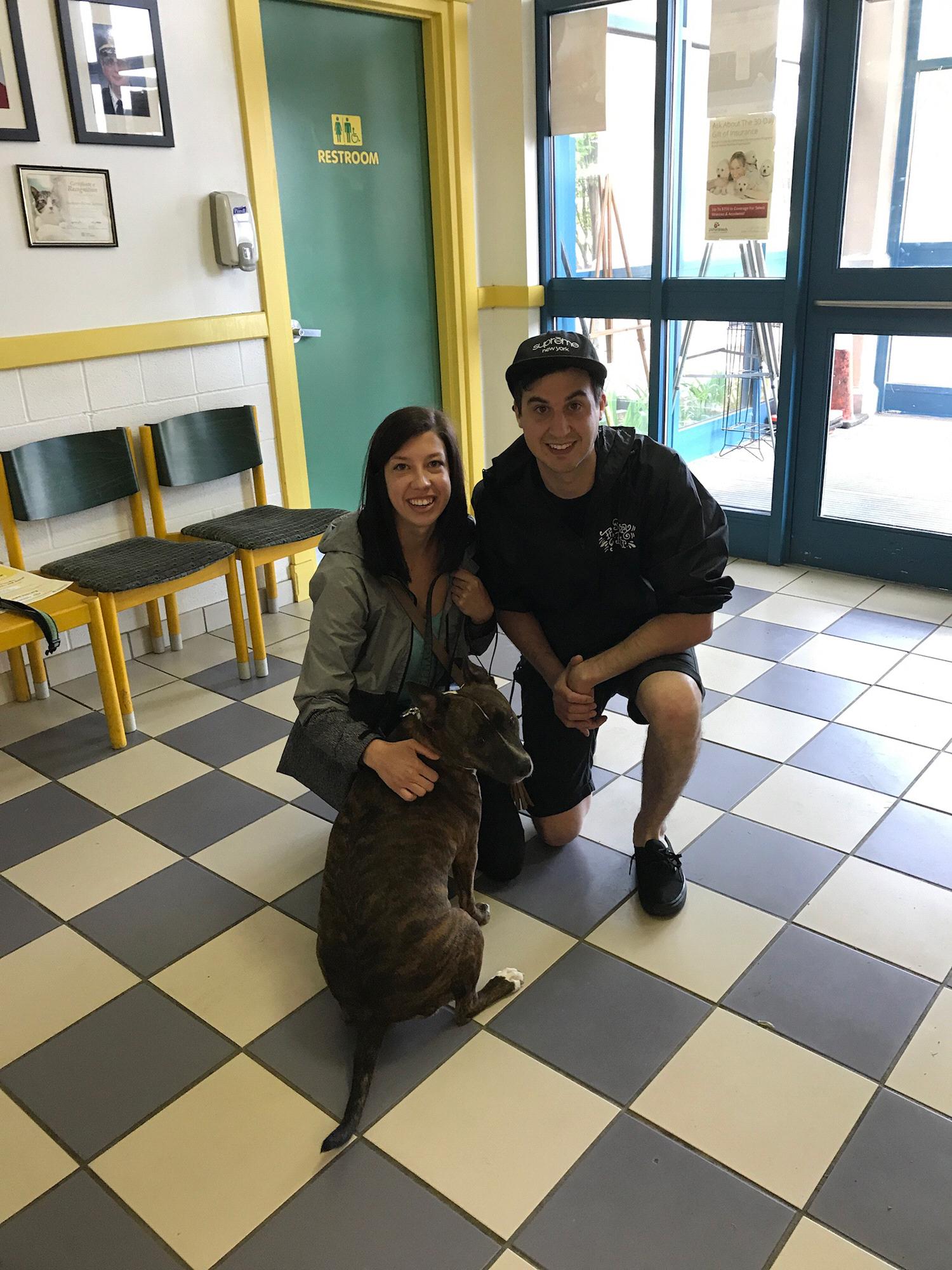 Leaving the shelter with the final member of our family, Ollie!
