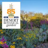 Desert Botanical Garden