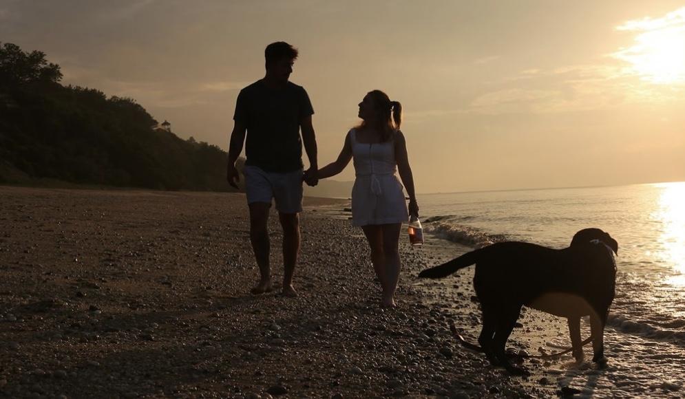 The Wedding Website of LeeAnn Parker and Brian Coleman