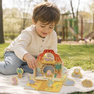 Wild Dinos Carry & Play Set