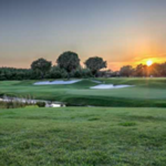Golf in Tampa Bay