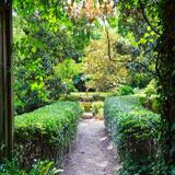 Rosie's Coffee & Wine Garden