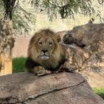 El Paso Zoo and Botanical Gardens