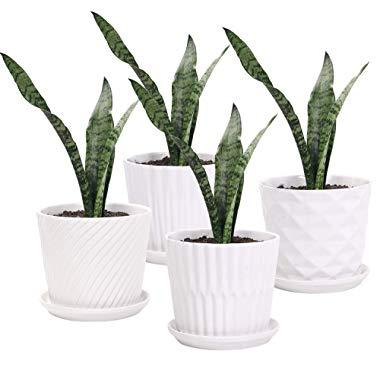 Plant Pots - 5.5 Inch Cylinder Ceramic Planters with Connected Saucer, Pots for Succuelnt and Little Snake Plants, Set of 4, White