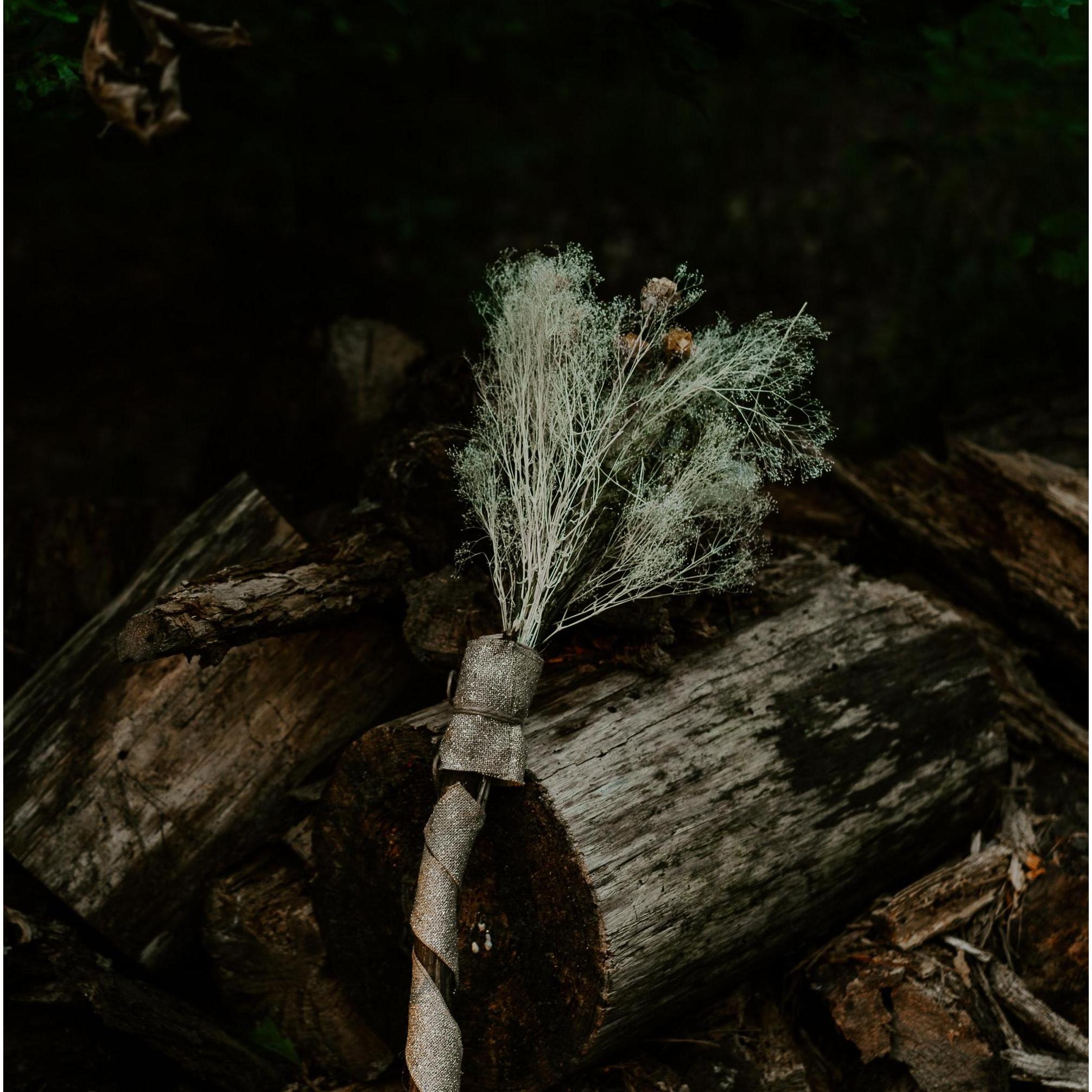 Close-up of the broom