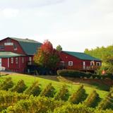 Carter Mountain Orchard and Country Store