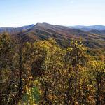 Wesser Bald Fire Tower