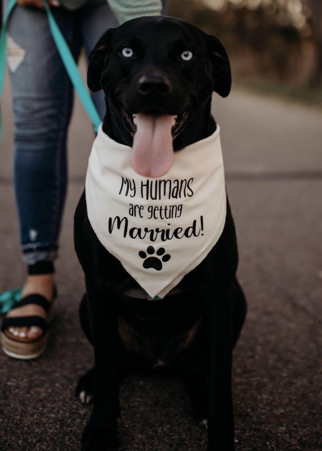 The Wedding Website of Lilly Anderson and Dillon Lamb