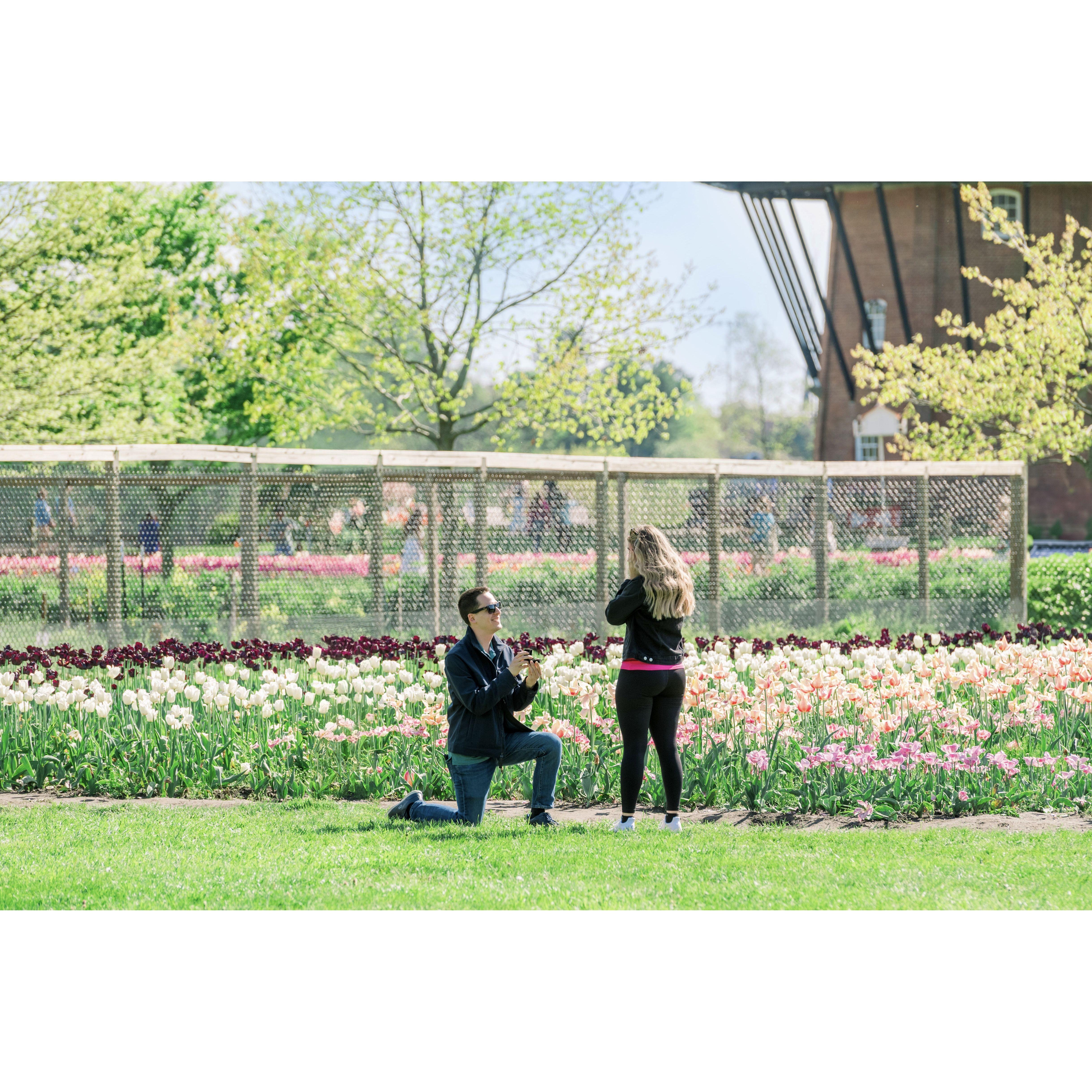 May 2024 - Pedro proposes to Dany!