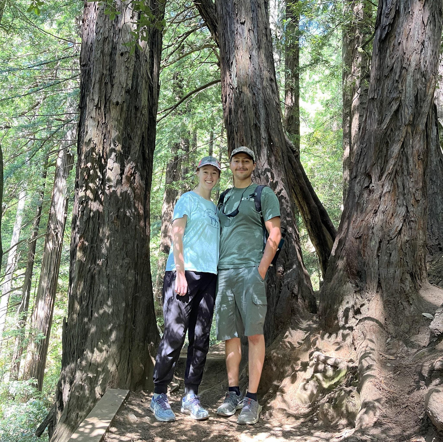Hiking in muir woods