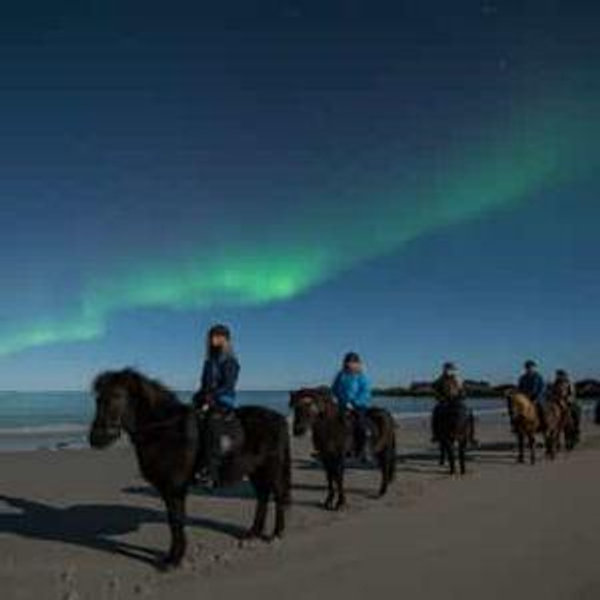 Horseback Riding to Chase the Northern Lights