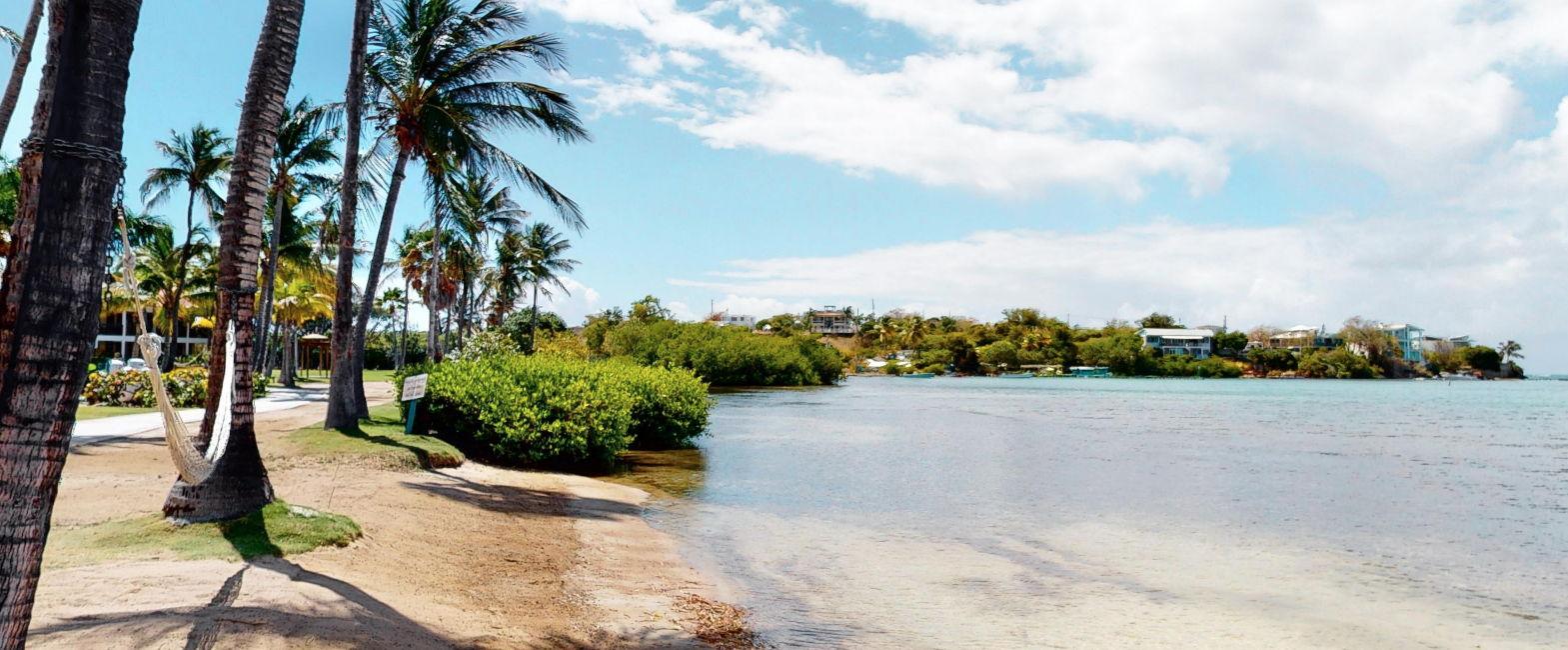 The Wedding Website of Alexis Carozza and Salvatore Villano