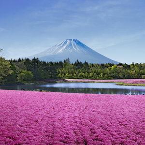 Honeymoon Accomodations