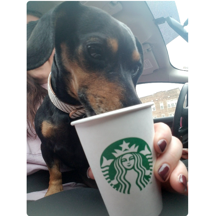 Starbucks addict