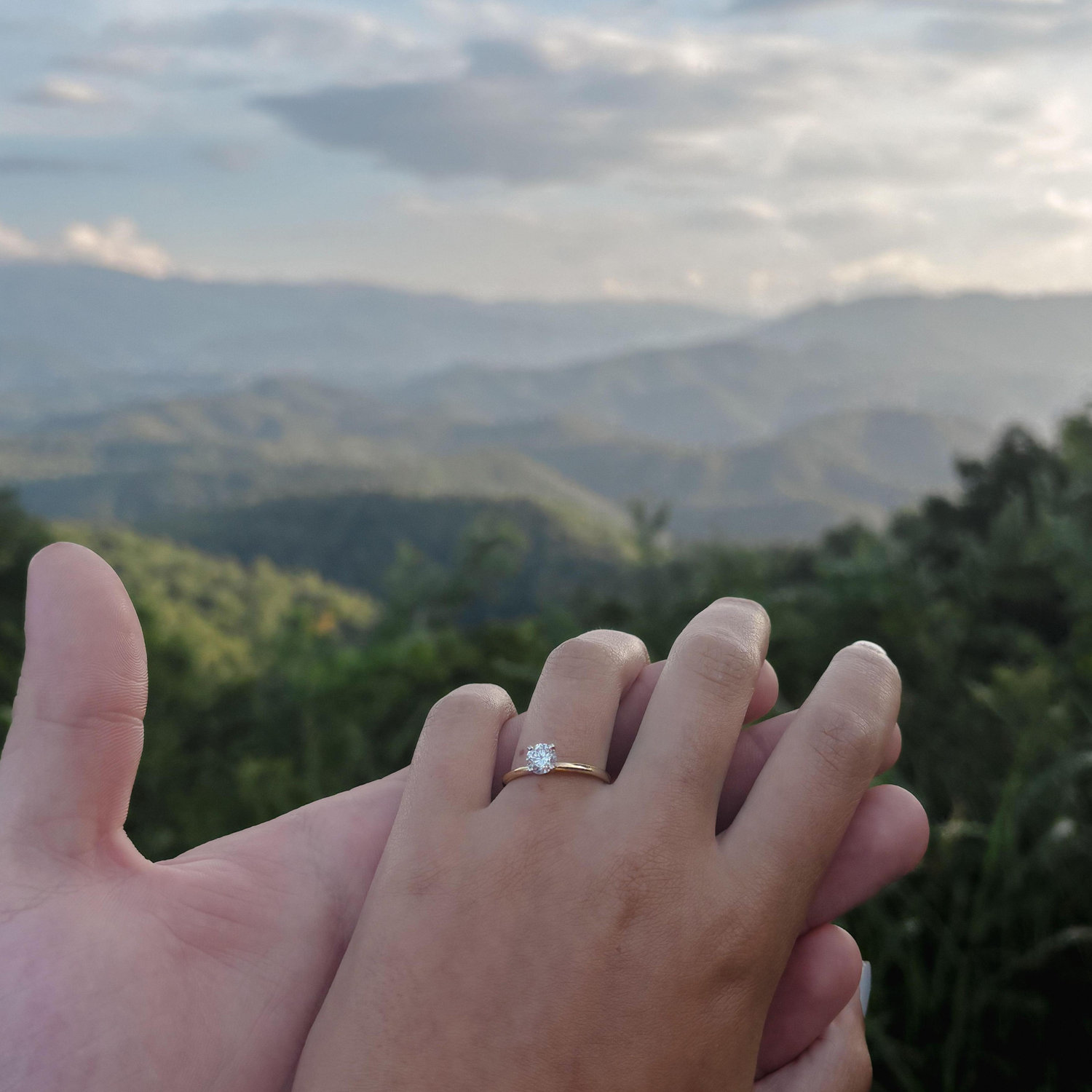 Mason proposed overlooking the Smoky Mountains in Tennessee! - 2025