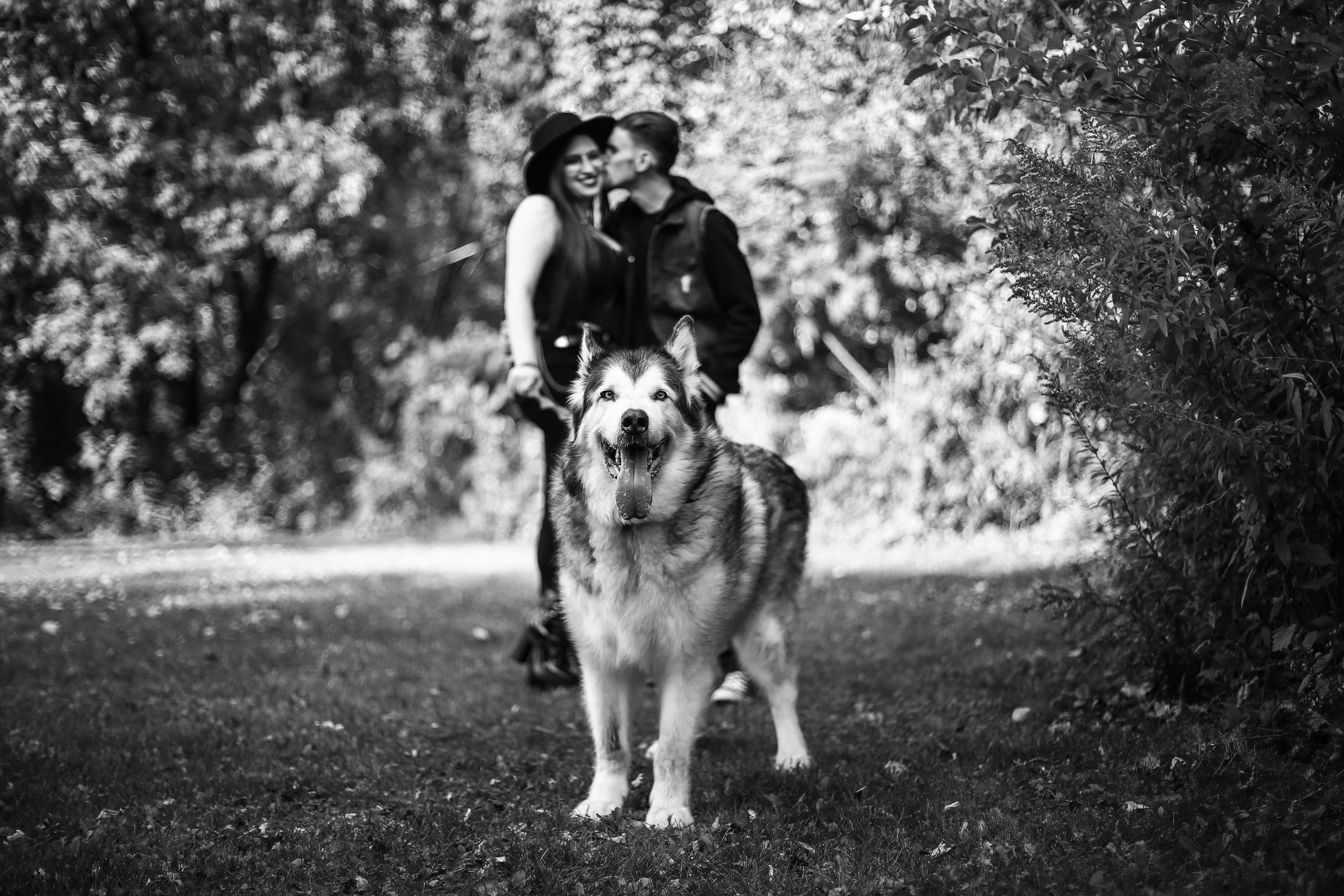 The Wedding Website of Erik Michael Riess and Kayla Lynn Amendola
