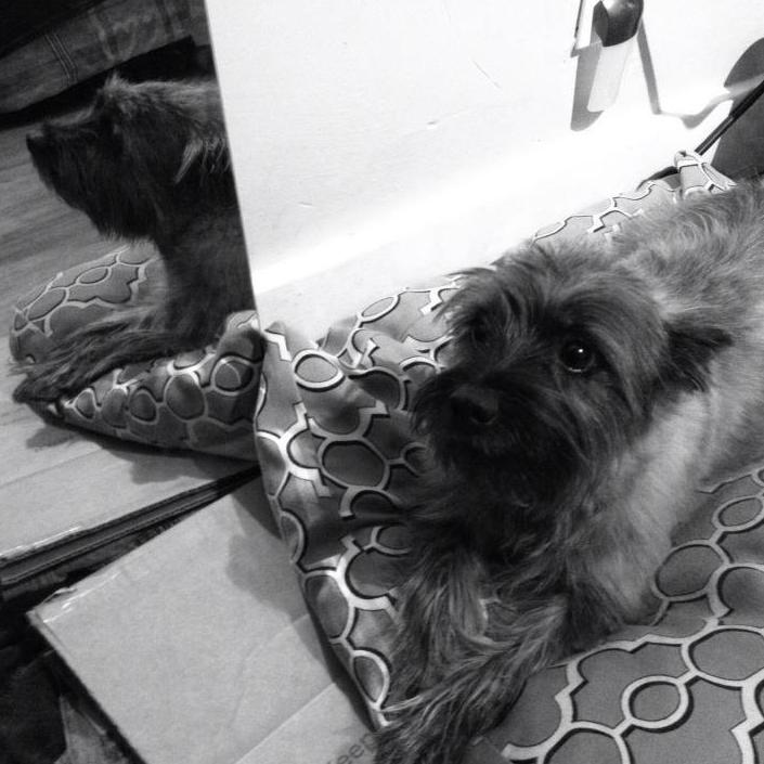 Bolt... :). "Feed ME!"