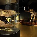 The State Museum of Pennsylvania