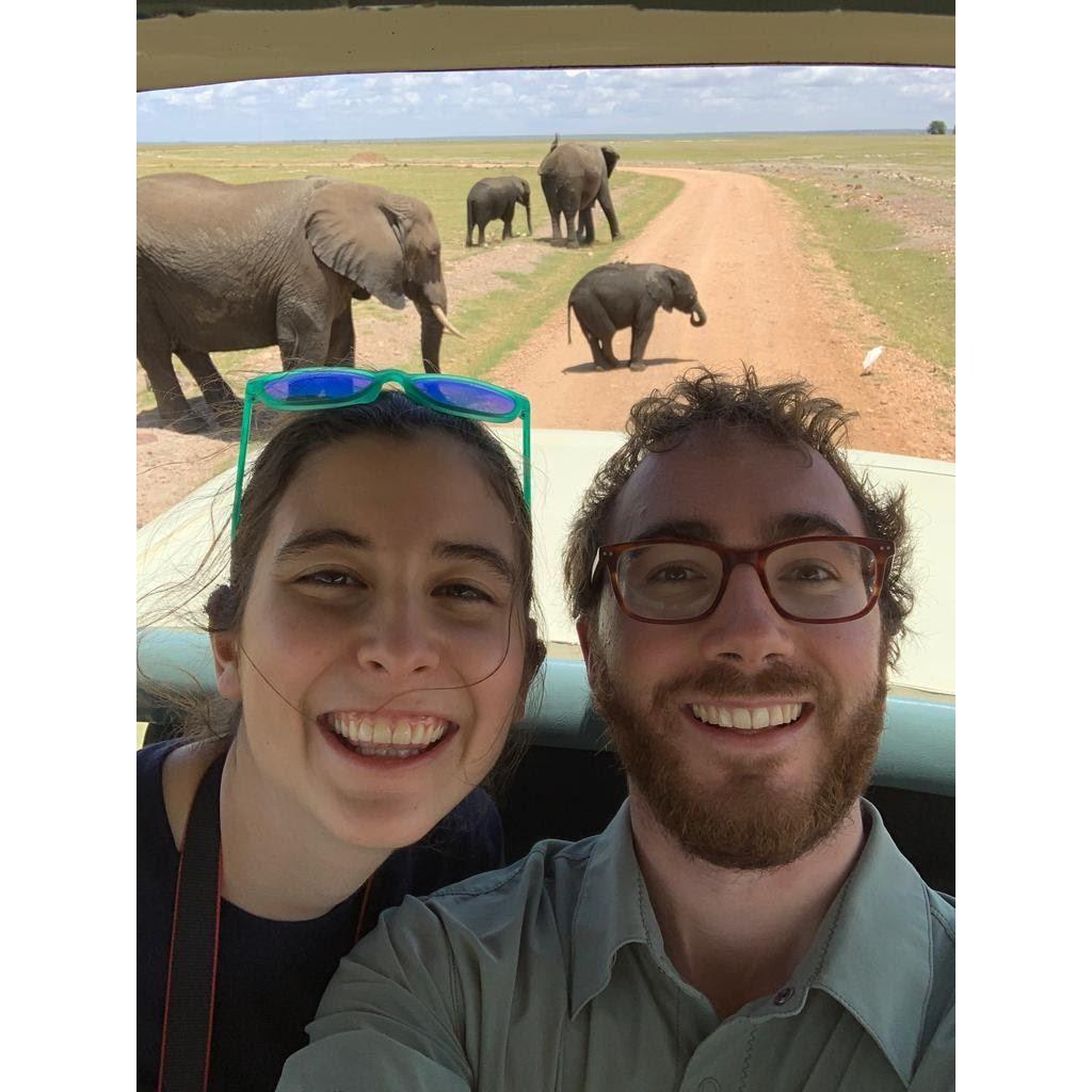 Elephant Crossing
