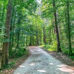 Al Buehler Trail