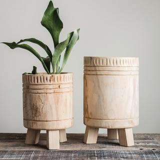 Paulownia Planter