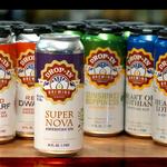 Drop-In Brewing Company