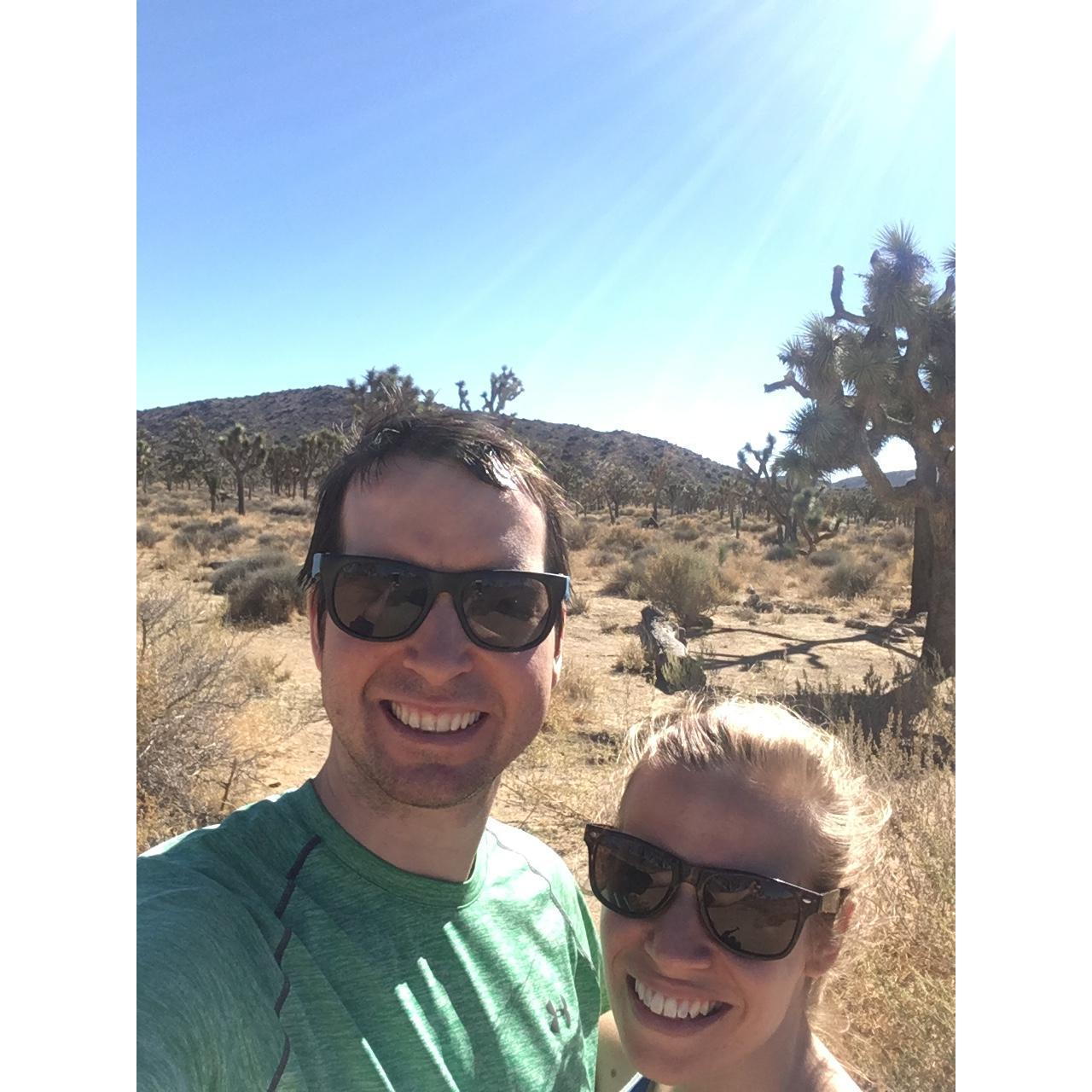 Joshua Tree