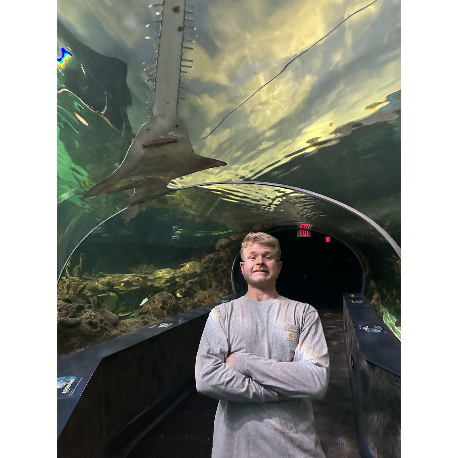 Ripley's Believe It or Not Aquarium!  A shark swimming over Spencer's head !!!