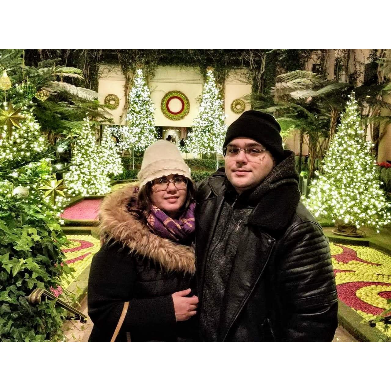 Longwood Gardens Christmas 2017 🎄