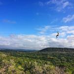 Wimberley Zipline Adventures