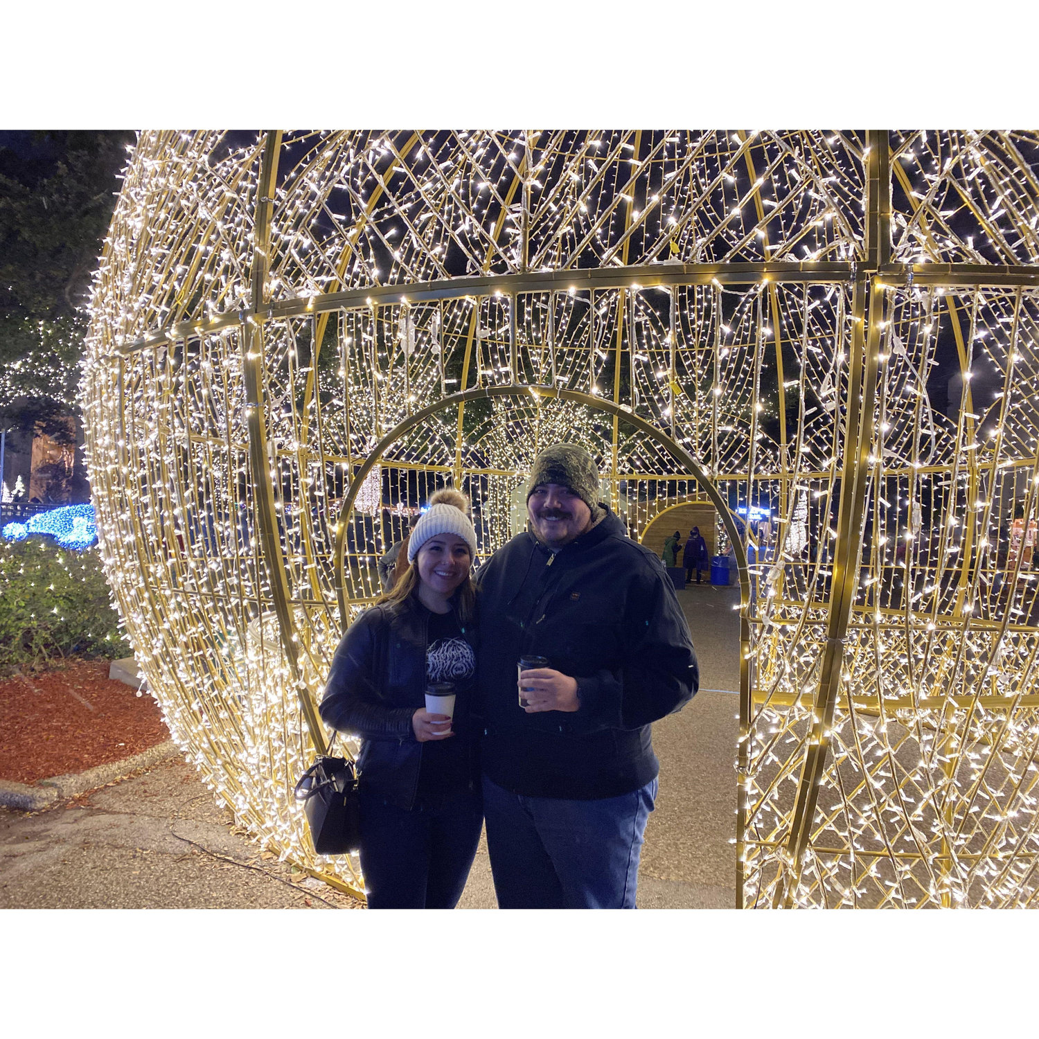 Dallas Christmas lights.