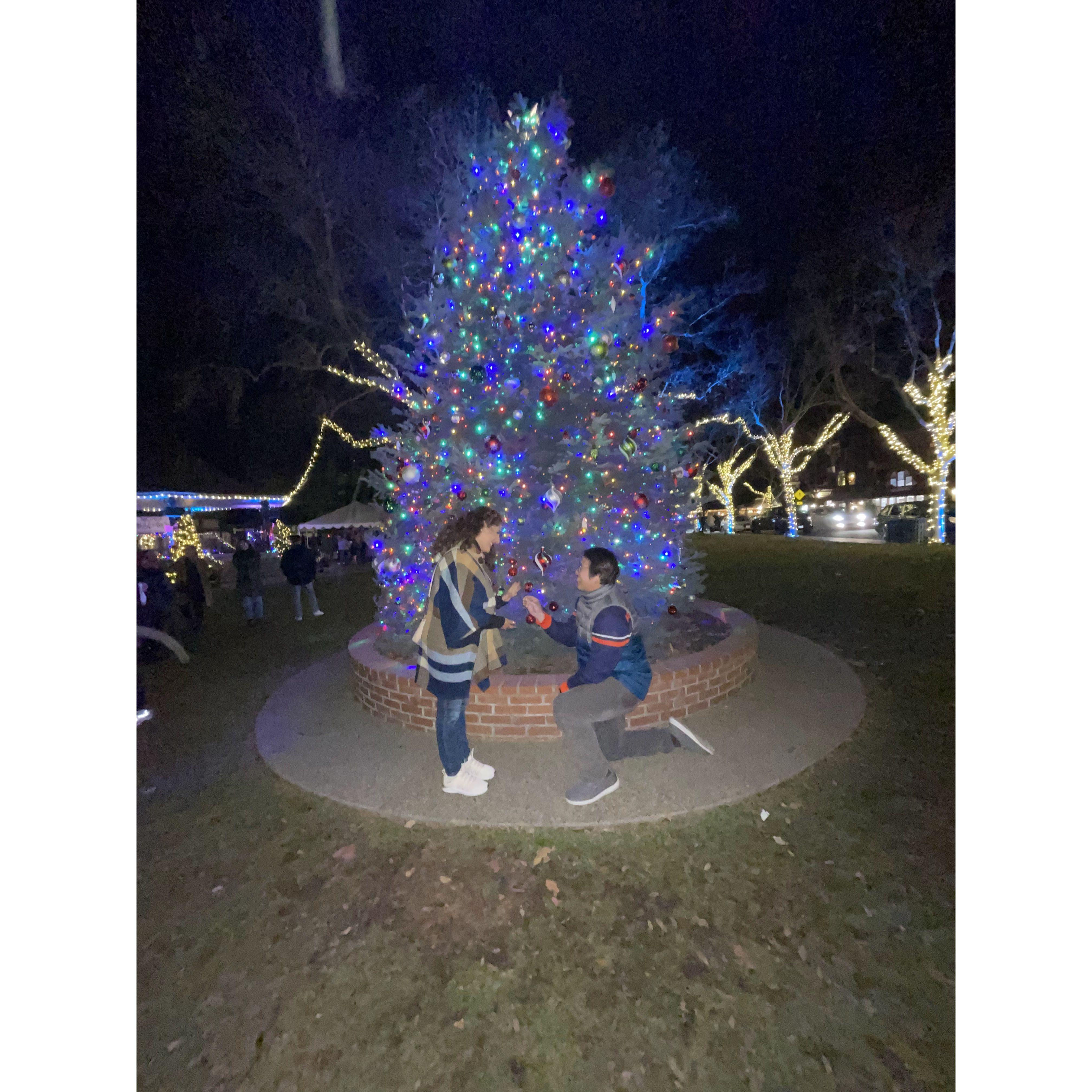 Our "social media engagement reveal"