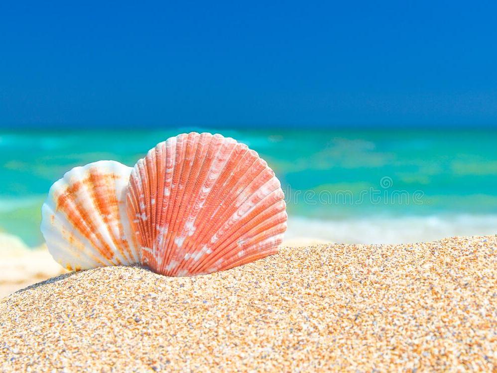 The Wedding Website of Candra Smith and Nicolas Morrow