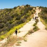 Runyon Canyon Park