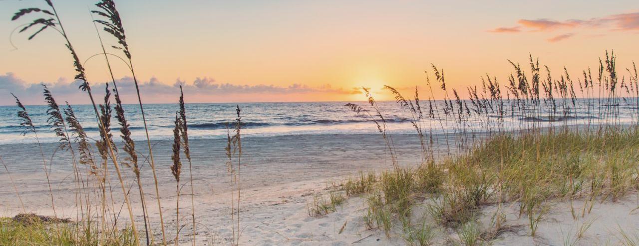 The Wedding Website of Camille Roberts and Julie Zdonek