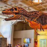 San Diego Natural History Museum