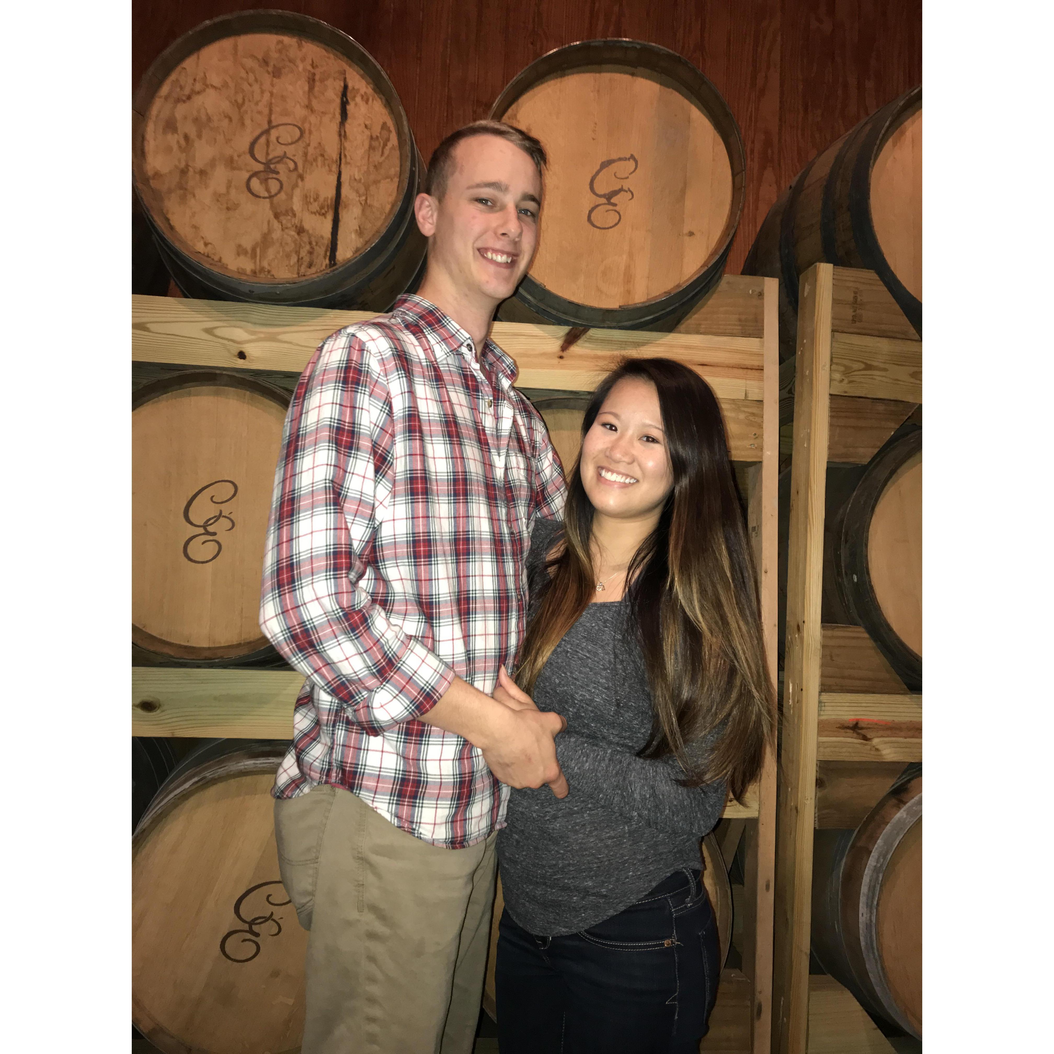 Wine Tasting and Tour at Chateau Elan - Braselton, GA
