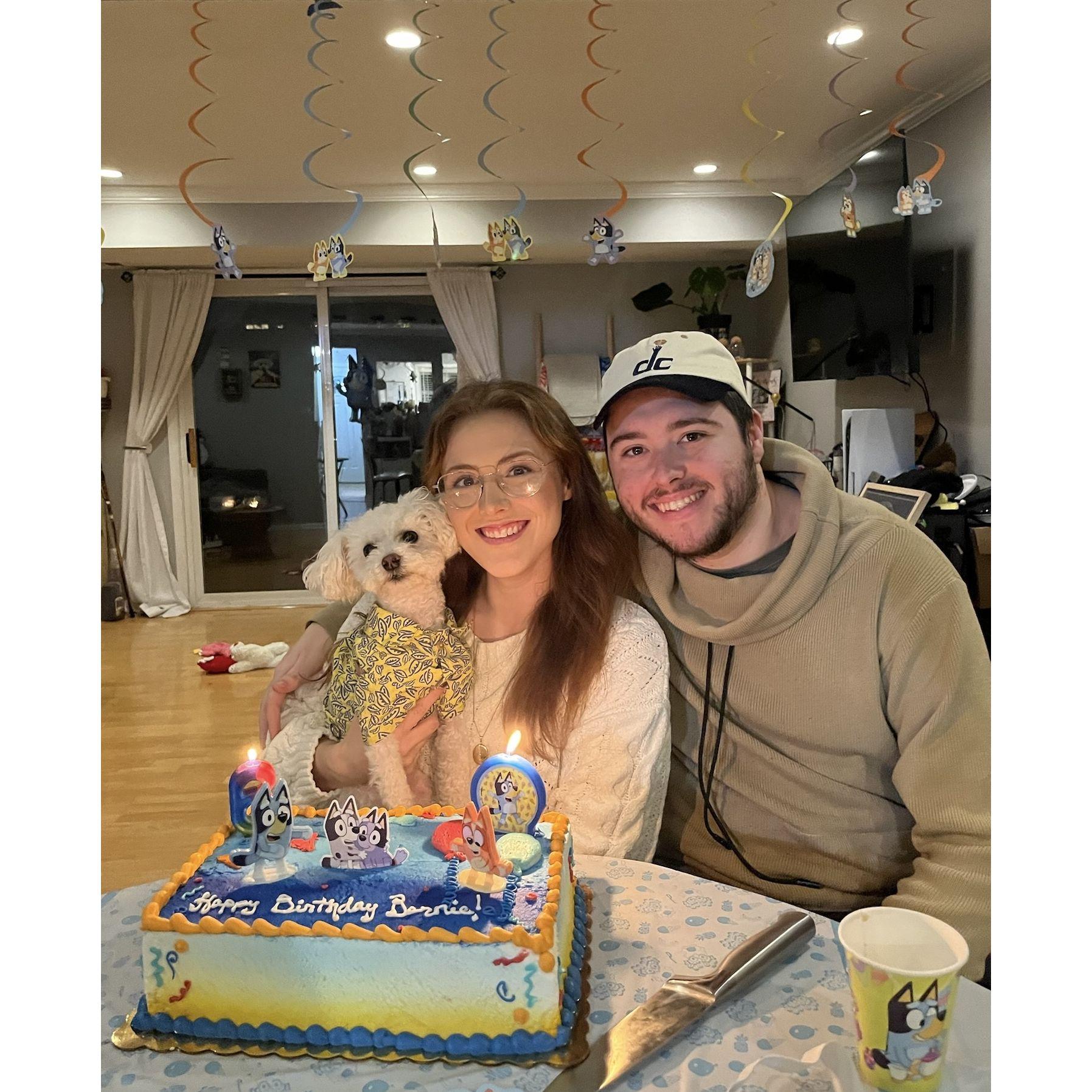 Bernie's 6th Birthday Pawty