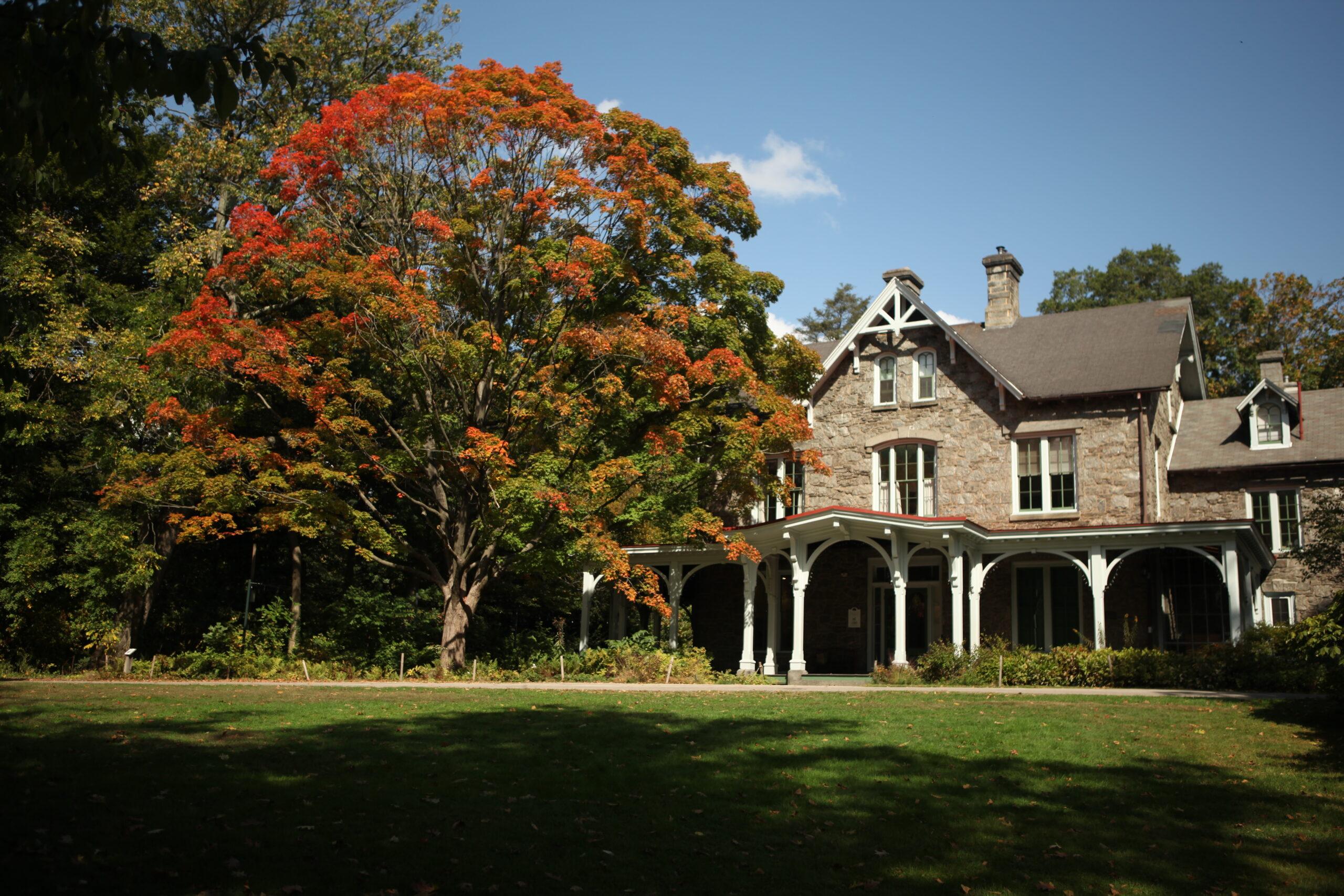 The Wedding Website of Laura Neumayer and Boot Bullwinkle